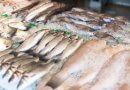Frischer Fisch am Markt