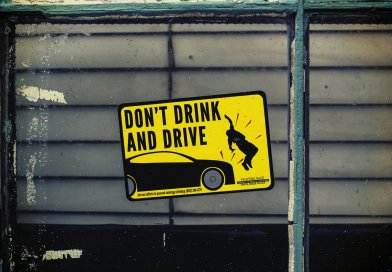 Alkohol am Steuer